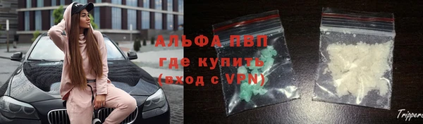 ПСИЛОЦИБИНОВЫЕ ГРИБЫ Алзамай