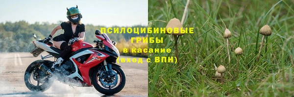 ПСИЛОЦИБИНОВЫЕ ГРИБЫ Алзамай