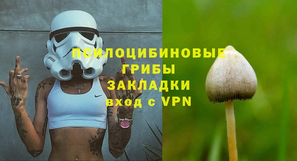 ПСИЛОЦИБИНОВЫЕ ГРИБЫ Алзамай